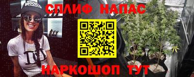 молекула духа Пугачёв