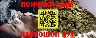 молекула духа Пугачёв